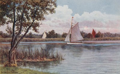 Salhouse Broad by Alfred Robert Quinton